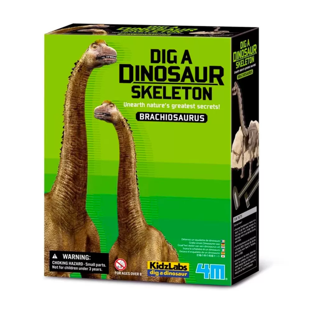 Online Dino Kit Brachiosaurus Juguetes Científicos Stem