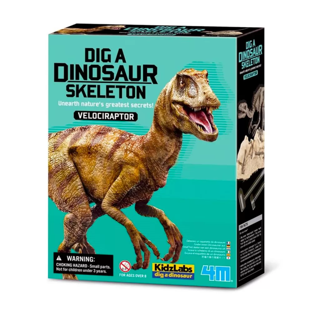 Discount Dino Kit Velociraptor Juguetes Científicos Stem